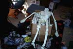 z_aftermath