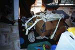 z_aftermath2